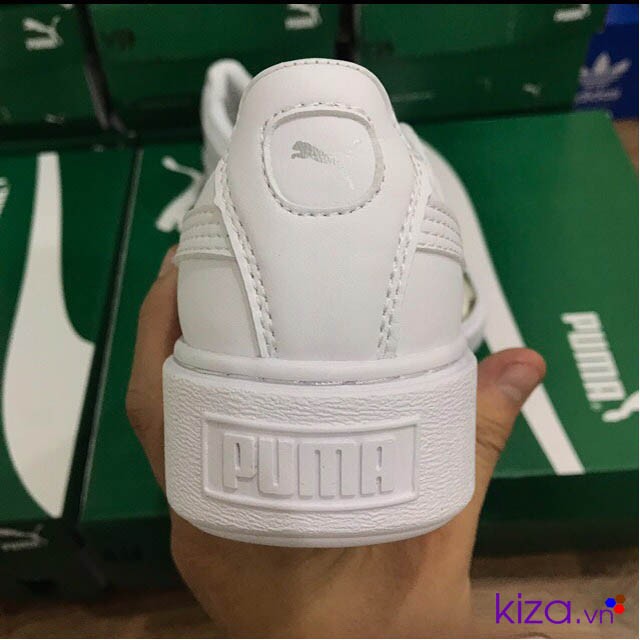 Puma nữ mũi bạc